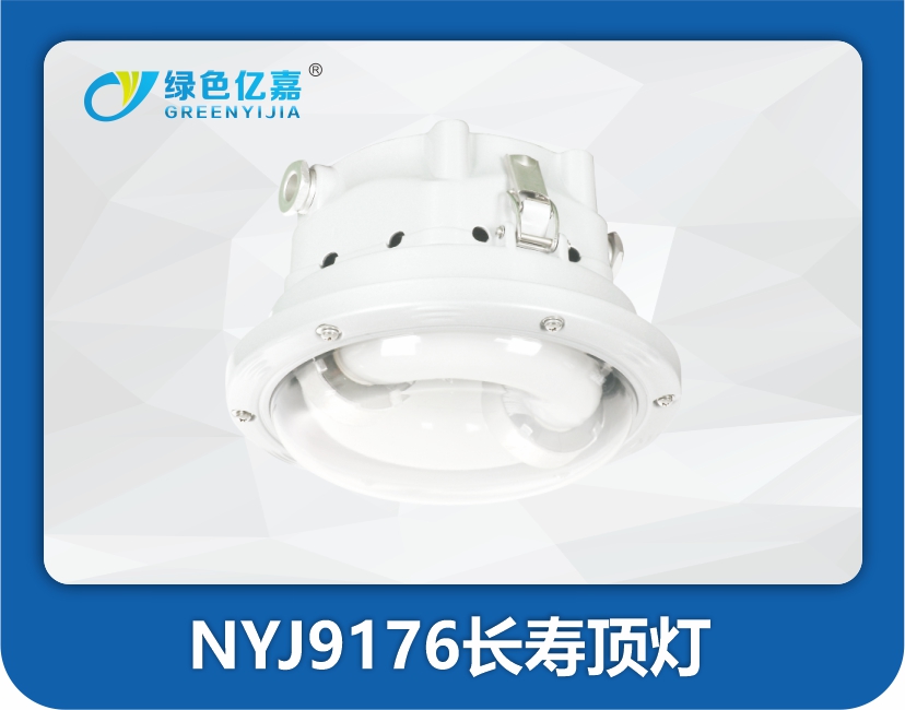 NYJ9176长寿顶灯