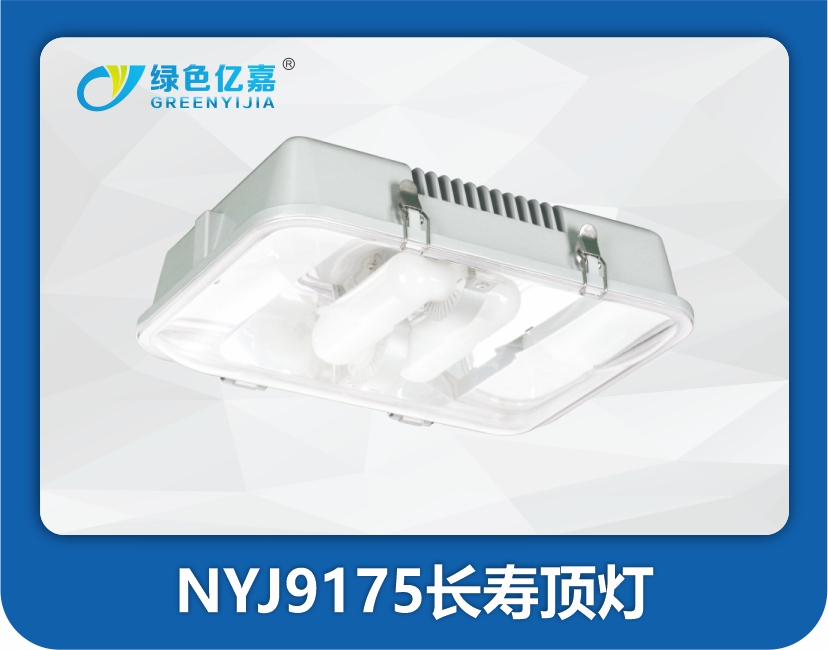 NYJ9175长寿顶灯