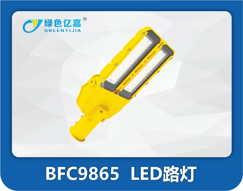 BFC9865  LED路灯