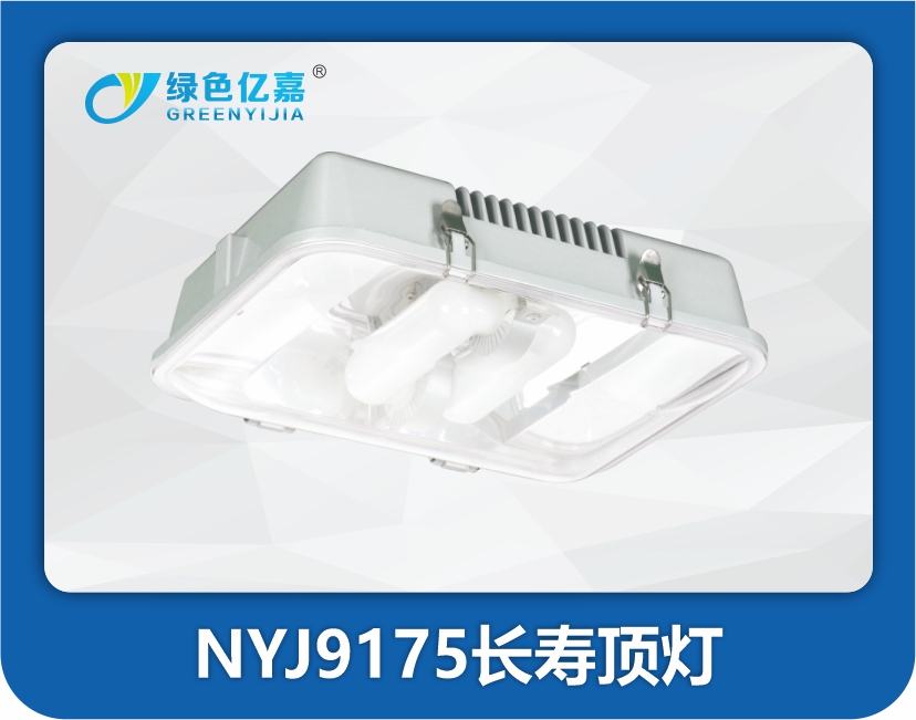 NYJ9175长寿顶灯