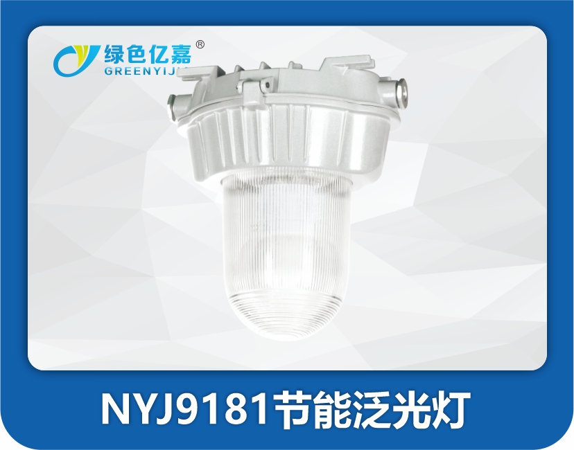 NYJ9181节能泛光灯